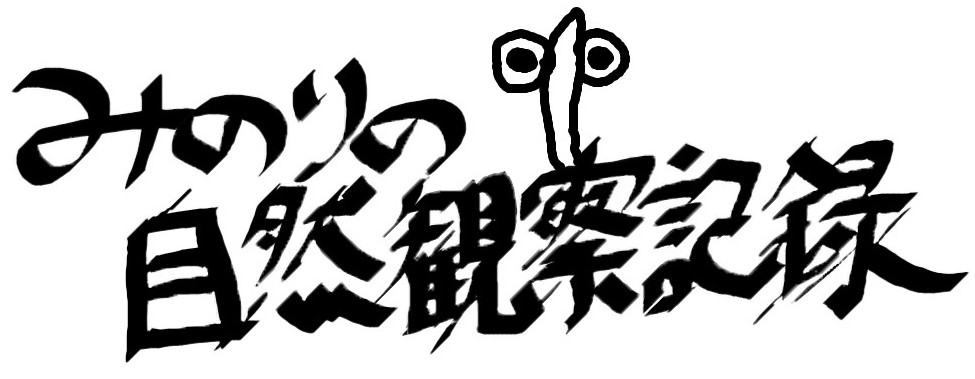 みのりの自然観察記録